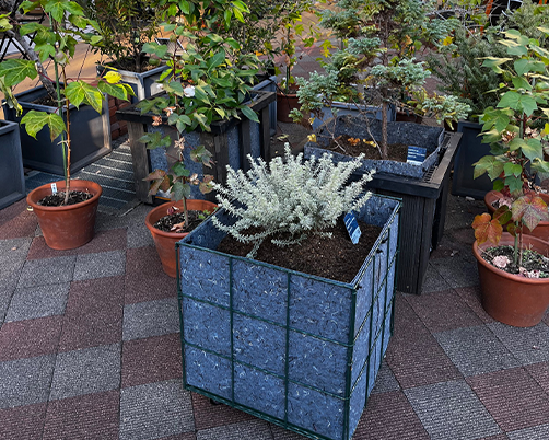 グリーンアップサイクル®